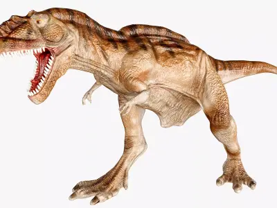 Tyrannosaurus Rex roaring  Low-poly 3D model