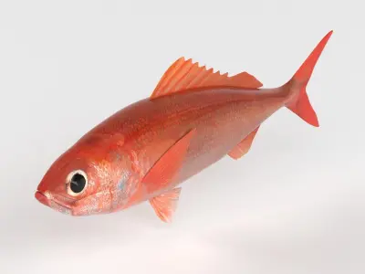 Ruby Fish 3D model