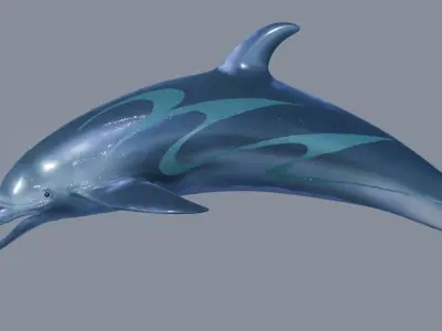 Shiny Dolphin 3D model