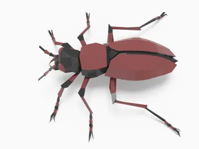 Bug low poly beetle Low-poly 3D model purchase