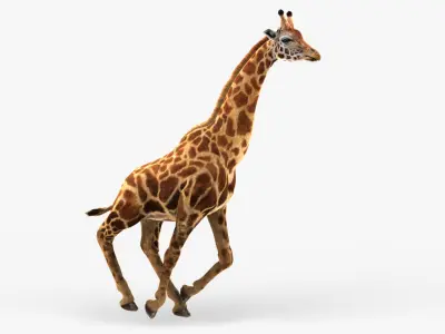 Giraffe (2) (ANIMATED) (FUR) 3D model