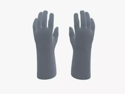 Insulated Gloves 3D model