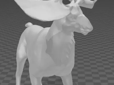 CERVALCES 3D print model