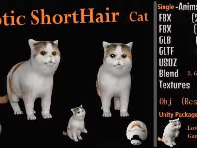 Exotic ShortHair Cat Free 3D model