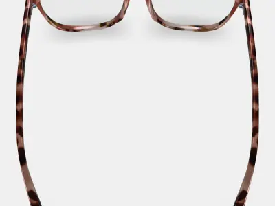 Esme Eyeglasses in Sesame Tortoise Low-poly 3D model