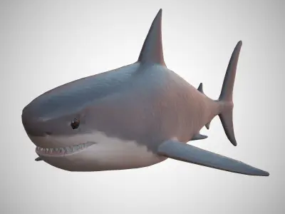 Great White Shark Low-poly 3D model 11
