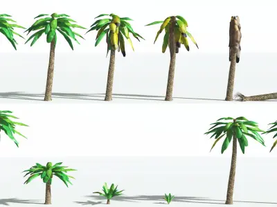 EVERYPlant Bjuvia Cycad LowPoly 1 --12 Models-- Low-poly 3D model