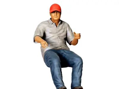 N4 Truck Driver 3D print model