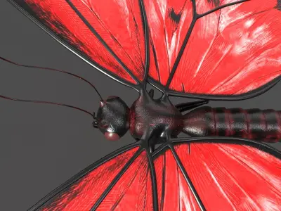 Butterfly 3d model with wings Low-poly 3D model