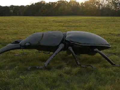 Rigged stag Beetle 3D model