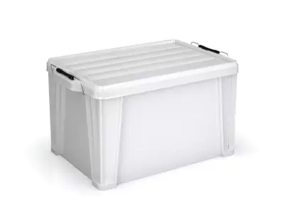 ST Box Buckle Container 3D model