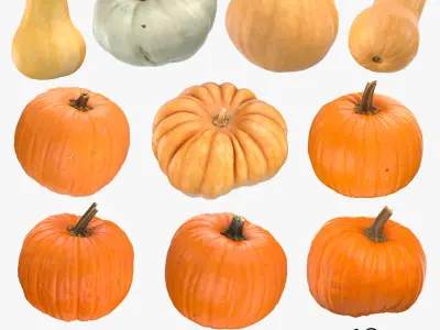 Pumkins Collection 08 - 10 models 3D model