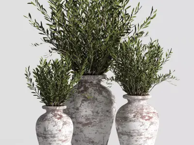indoor plant set 15 3D model