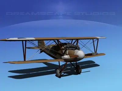 Albatross DIII Fighter 3D model 11