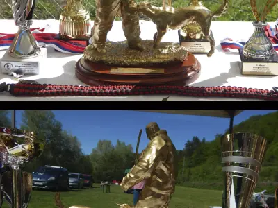 Dog trophy 3D print model