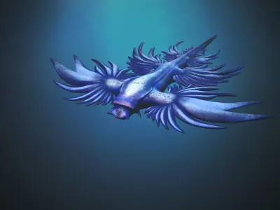 Sea Blue Dragon - Game Ready Low-poly 3D model Low-poly 3D model