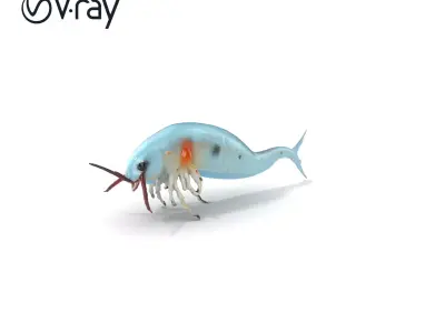 Bioluminescent Marine Creature Model Pack Low-poly 3D model