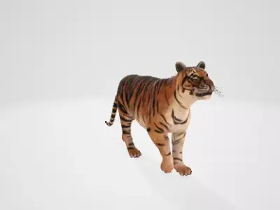 Tiger 3D model