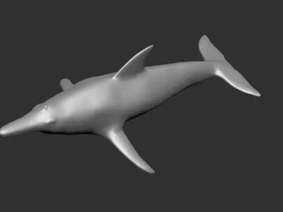 Prehistoric Dolpin 3D 3D model