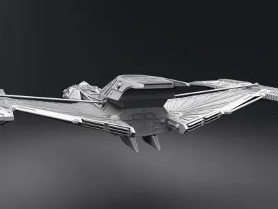 Klingon Raptor scale model   3D print model
