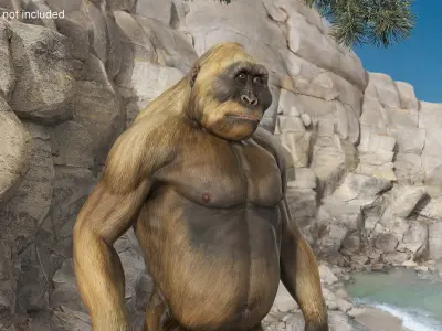 Big Ape Gigantopithecus in Standing Pose 3D model