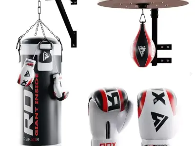 Comprehensive Boxing and MMA Gym Equipment Bundle Low-poly 3D model