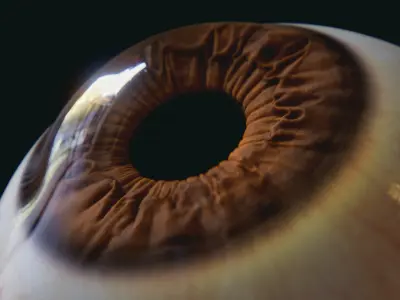 Realistic Human Eye with customizable colors 3D model