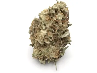 Cannabis Bud 03 3D model