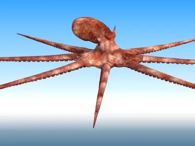 Octopus Rigged 3D model purchase