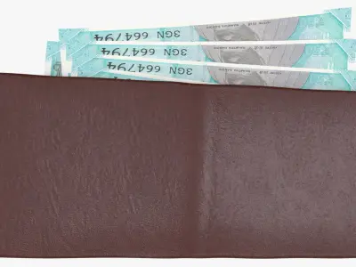 India 50 Rupee Wallet Money Purse 3D model