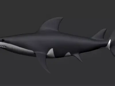 Bull Shark Low-poly 3D model
