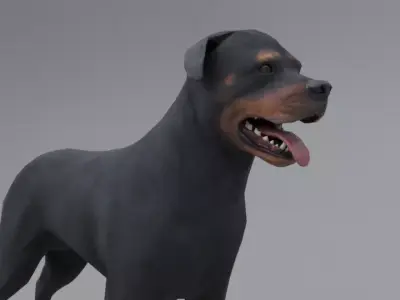 Rottweiler dog Low-poly 3D model