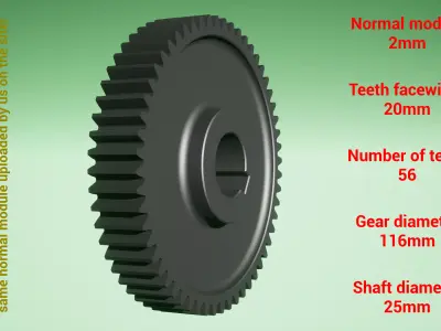 Cylindrical gear - paired - z56 m2 D116 d25 3D print model