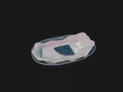 XM41 E2 Gravel Mine 3D model