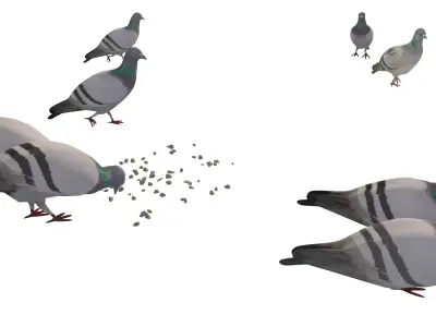 Animated White Dove  Low-poly 3D model