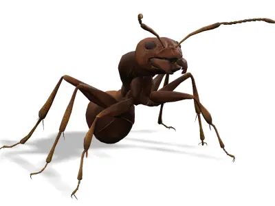 Animated Ant World Rigged Low-poly 3D model