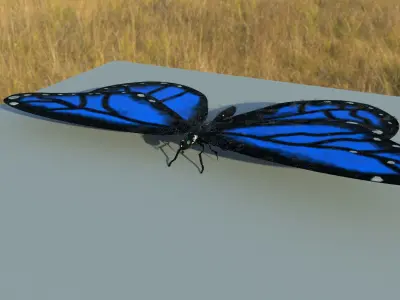Butterfly 3D model order