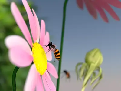 Bee Honey Movie 3D Model 3D model