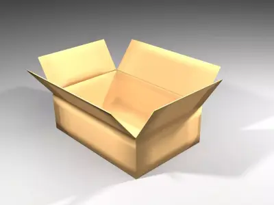 Cardboard Box - Rectangular Low 3D model