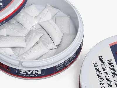 ZYN Smooth Nicotine Pouches Can 6mg Set White 3D model