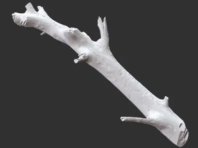 3d scan of tree trunk in highpoly 3D model by Shutters