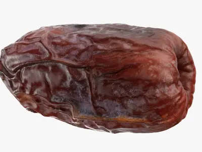 Date Collection 3D model