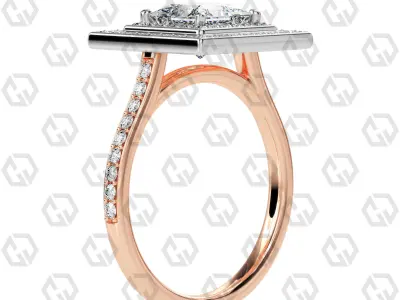 Ring 208 Princess Shape Cathedral Double Halo pave set with Gems 3D print model