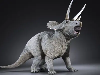 Triceratops dinosaur 3D model purchase