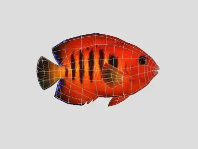 Flame Angelfish Realistic Animated Low-poly 3D model