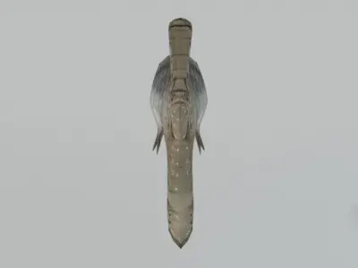 Anchovy fish Low-poly 3D model