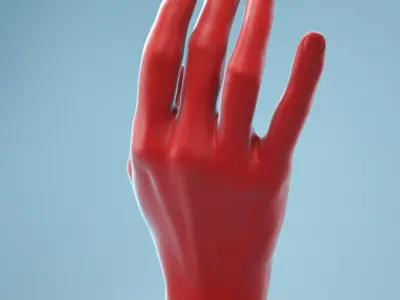 Female Hand 1 3D model
