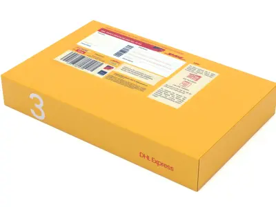Cardboard Packaging Box DHL 3D model