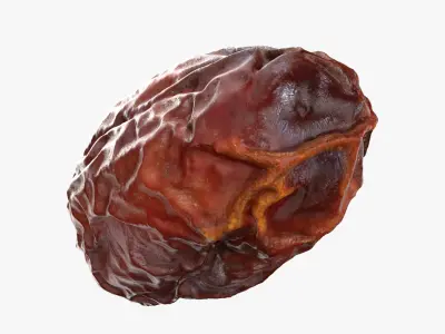Date Collection 3D model