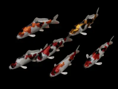 Koi fish Low-poly 3D model purchase